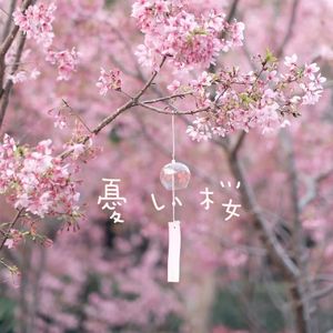 憂い桜