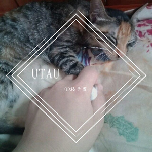 沈园外-东方栀子&起复-UTAU