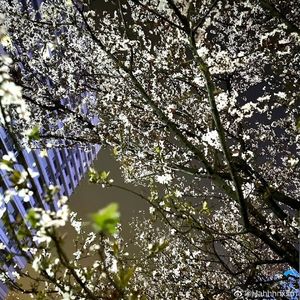 第五十七次取消发送