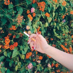 Cigarette