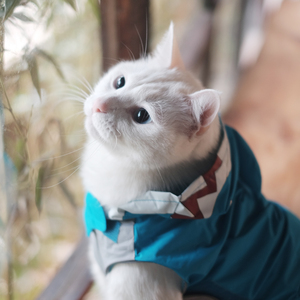 白石溪（Cover 洛天依&乐正绫）