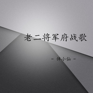 老二将军府战歌 (空拍)