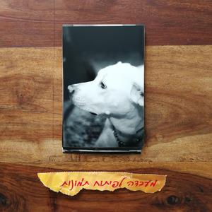 דגים באקווריום