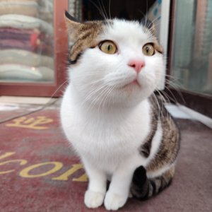 愿你我都是生活的高手