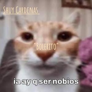 Bolerito