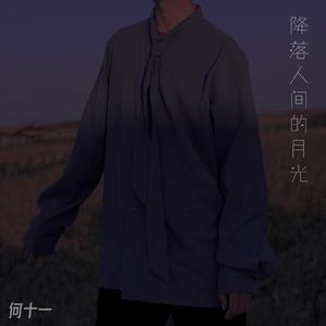 降落人间的月光