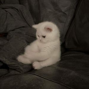 瓷裂银河 Type Beat