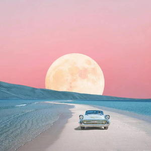 Shields （天泽 remix）