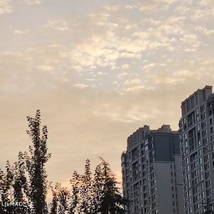 The Letter (Prod. By 李桑野)