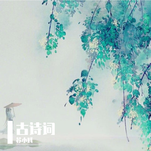 千里共婵娟
