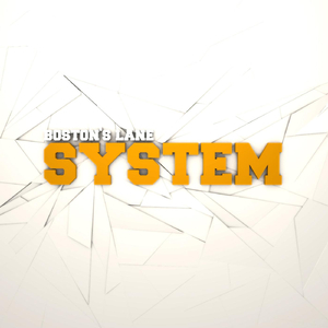System