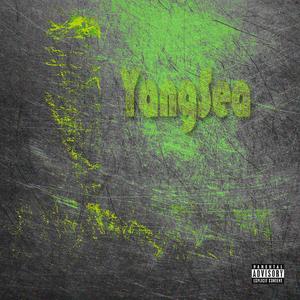 [Free] 经受（ Undergo ）