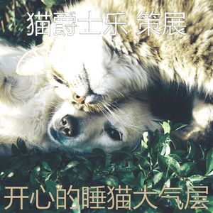 有趣小猫情怀