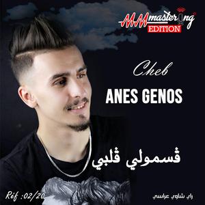 Achekek Defntou (feat. Salim Bouzidi & Anes Genos)