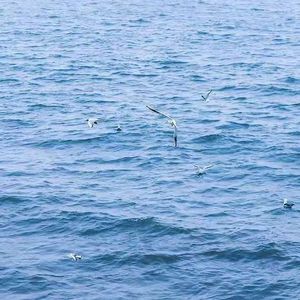 《心动旋律》美滋滋的坚果圣代-浪漫-流行