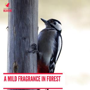 Fuel the Raging Fire