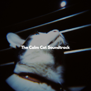 Entertaining (Music)