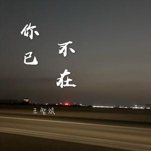 你已不在