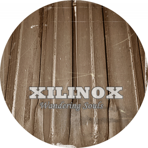 Darkness (Original Mix)