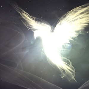 KING OF ALL WILD THINGS