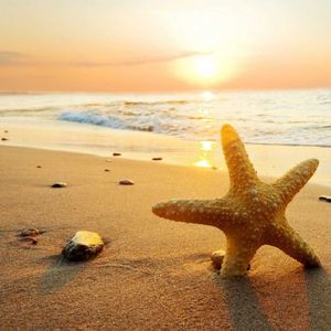 昨日之日不可留