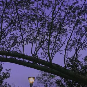 江上晚风吟（主歌版）