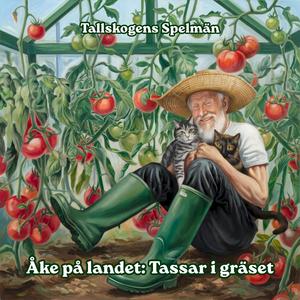 Visdom växer