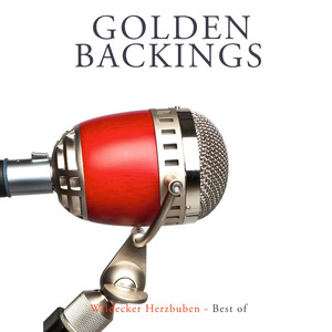 Hallo, Frau Nachbarin (Originally Performed by Wildecker Herzbuben) (Karaoke Version)