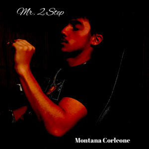 Mr. 2 Step