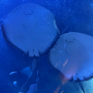 雨天、夏夜、愛哭的妳