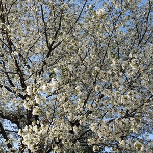 ラップバトルを始めたつもりが・・・