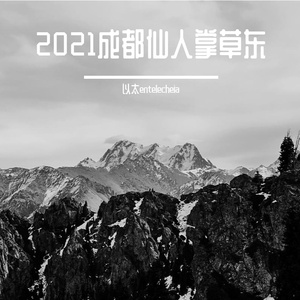 intro 2021成都仙人掌No.1