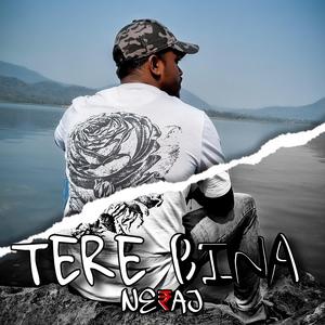 Tere Bina