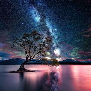 Astrology