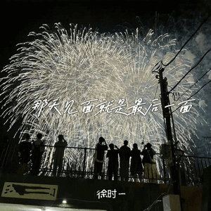 那天见面就是最后一面