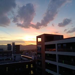 白羊（温柔男声版）