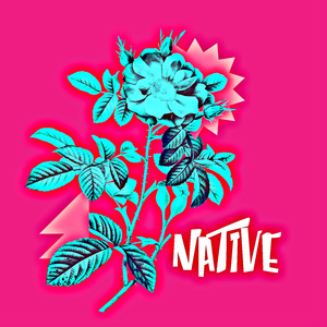 Native