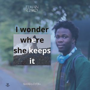 I Wonder Where She Keeps It