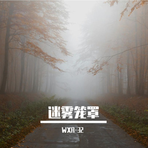 迷雾笼罩