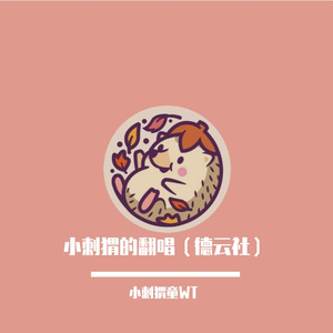 德云姑娘（中/英翻唱）（翻自 张鹤擎）