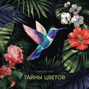Качусь быстрей
