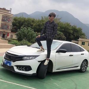阳春杨私人订制