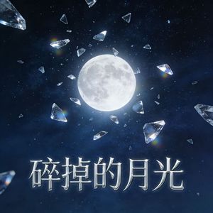 碎掉的月光