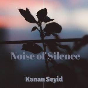 Noise of Silence