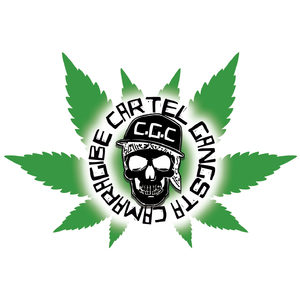 Os pratas Da Casa part 2