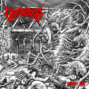 Embrionical Genetic Disorder