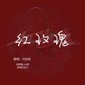 红玫瑰