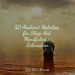 Echoes of a Distant Touch