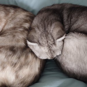 三十逐梦飞翔.mp3