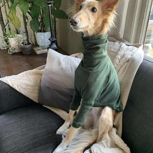 Everybody Dies In Their Nightmares (slowed)